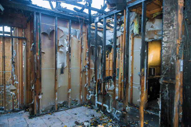 Professional Fire Damage Removal technician working in Prairie Creek, AR